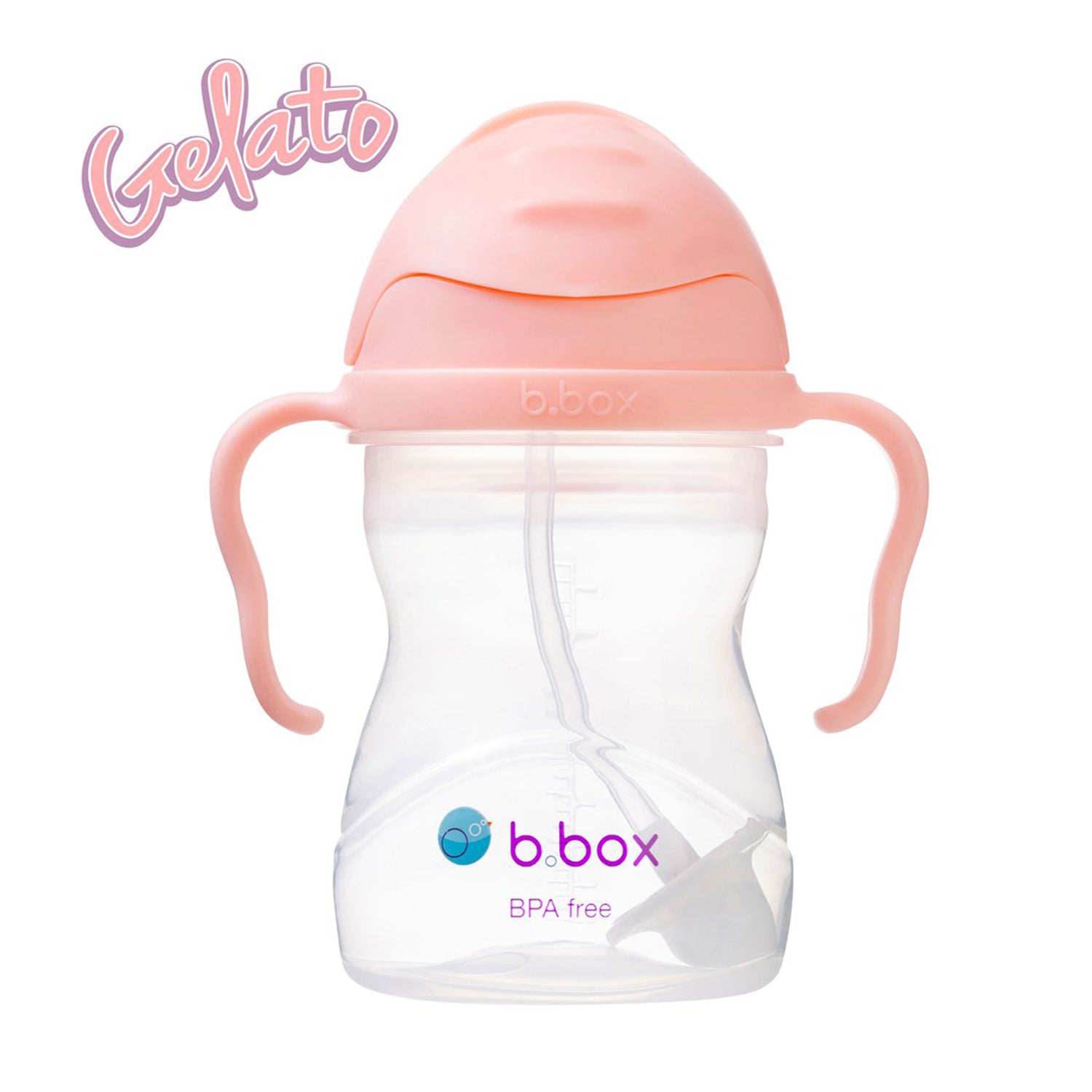 Sippy Cup V2 Tutti Frutti