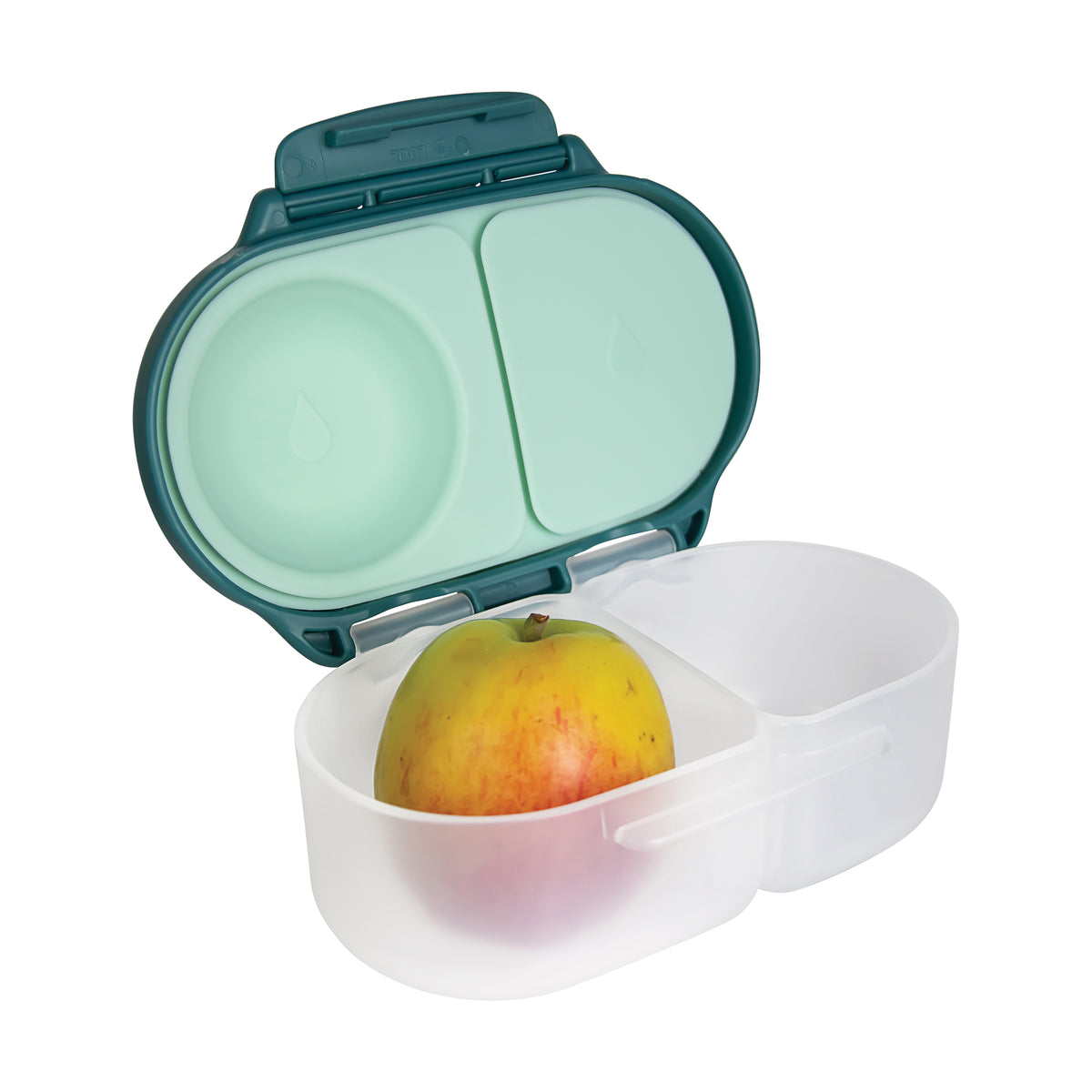 Snackbox Emerald Forest – additional view 4