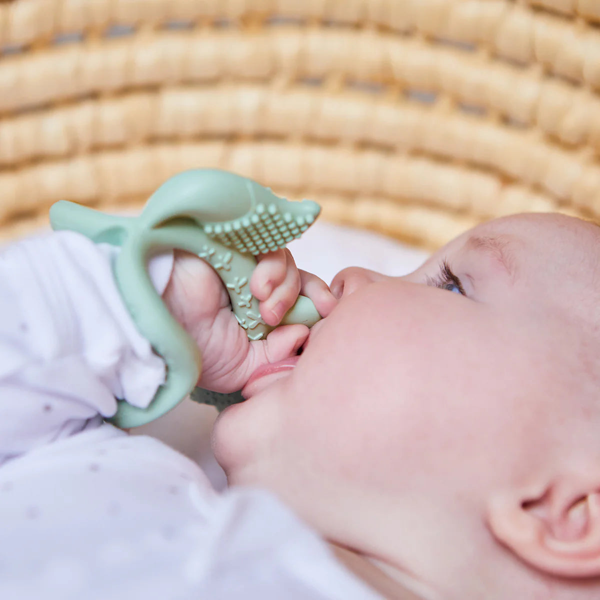 Wrist Teether - Sage Fox – additional view 5