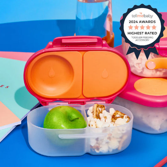 Snackbox Flamingo Fizz