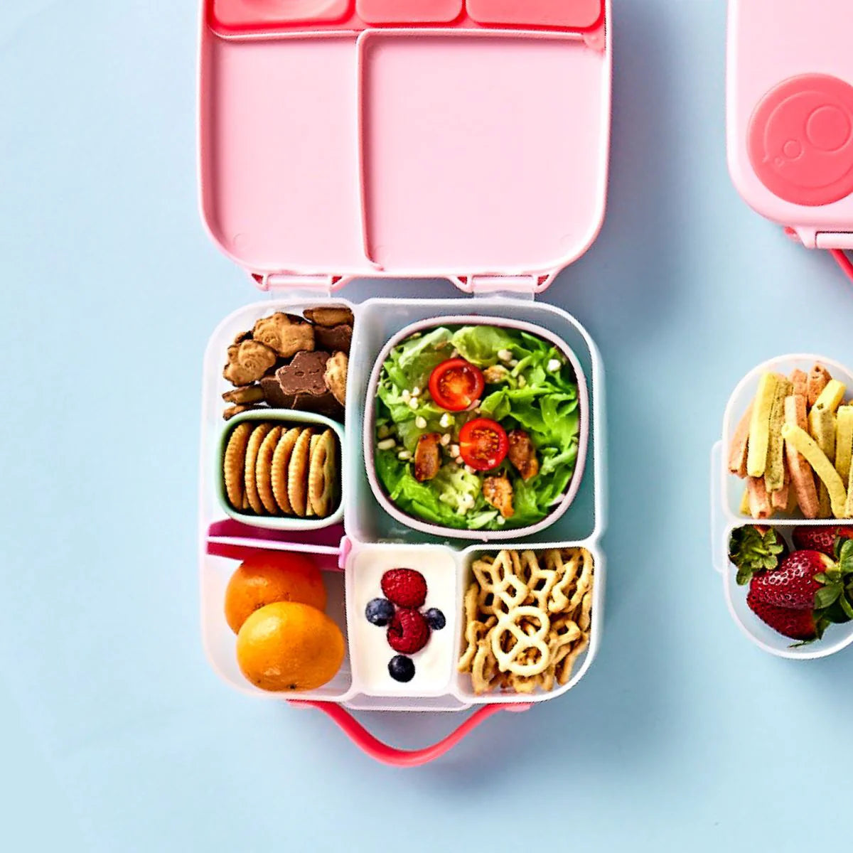Lunch Tub Berry – additional view 4