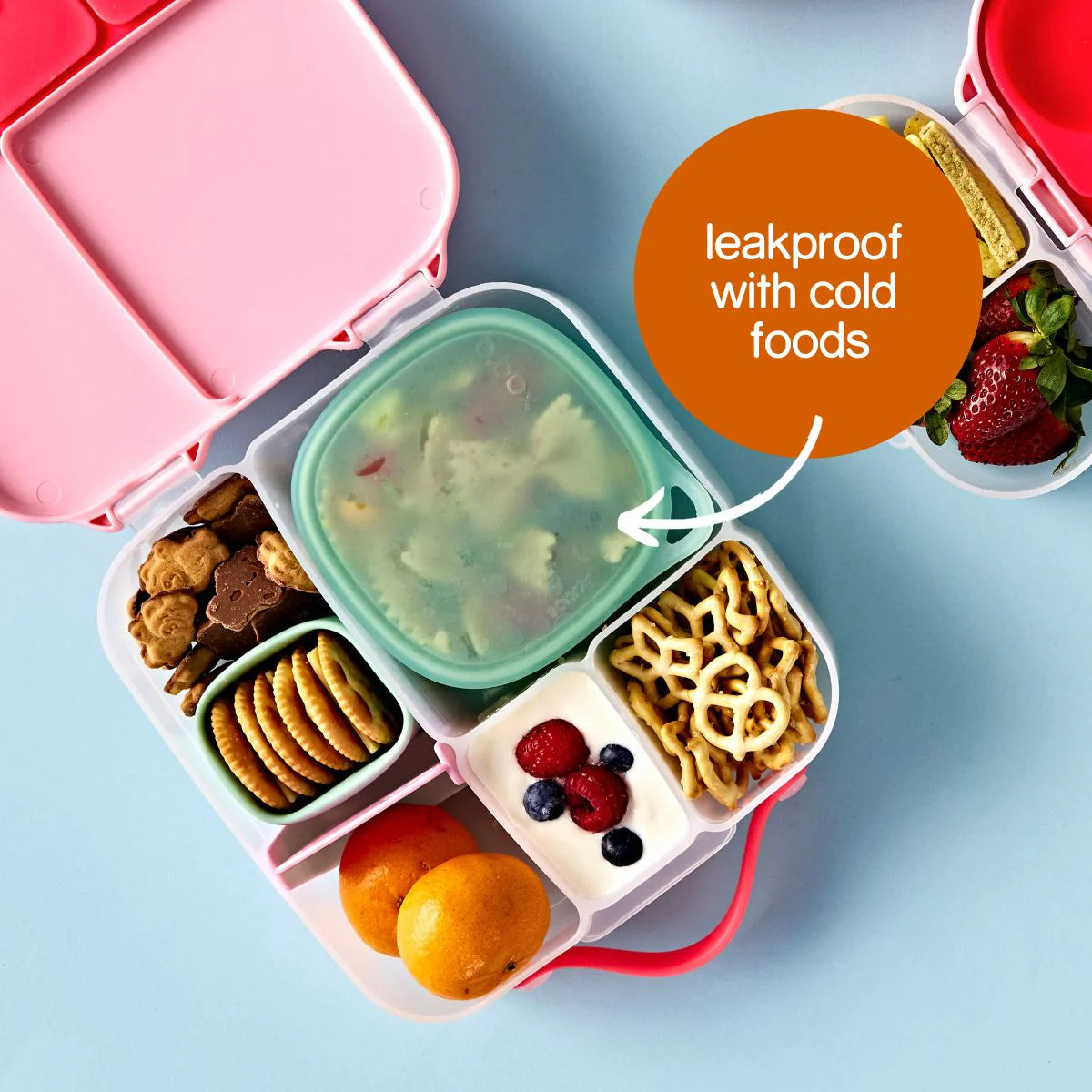 Lunch Tub Forest – additional view 2