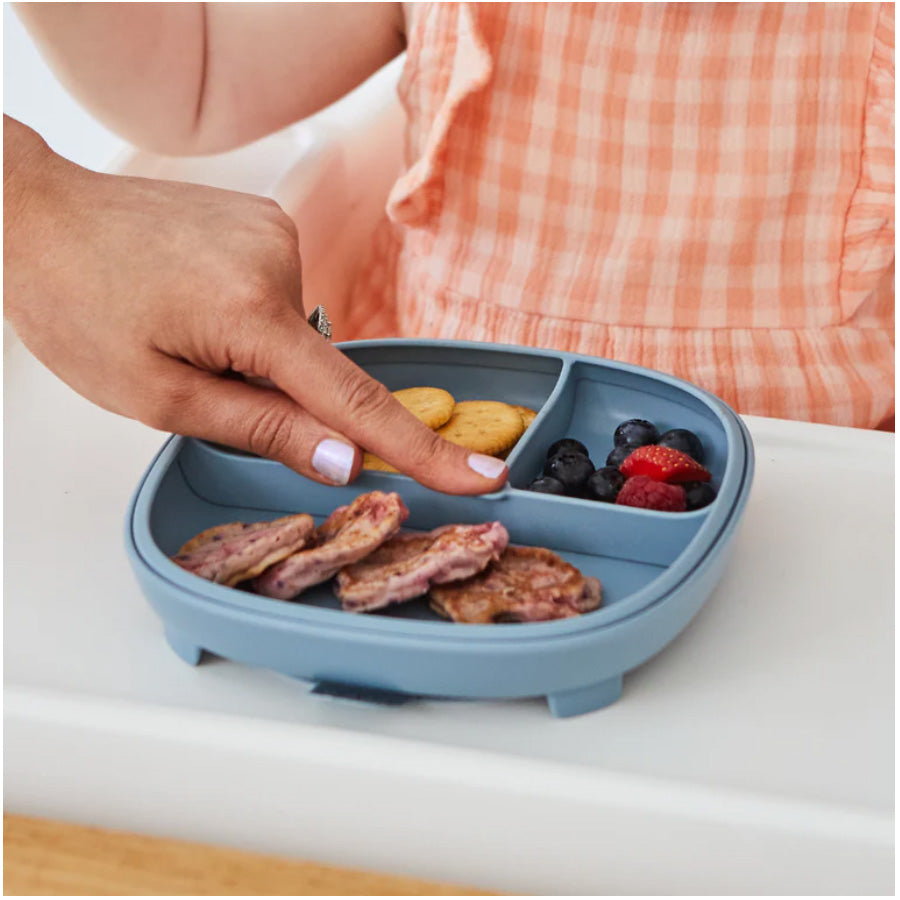 2in1 Suction Plate Ocean