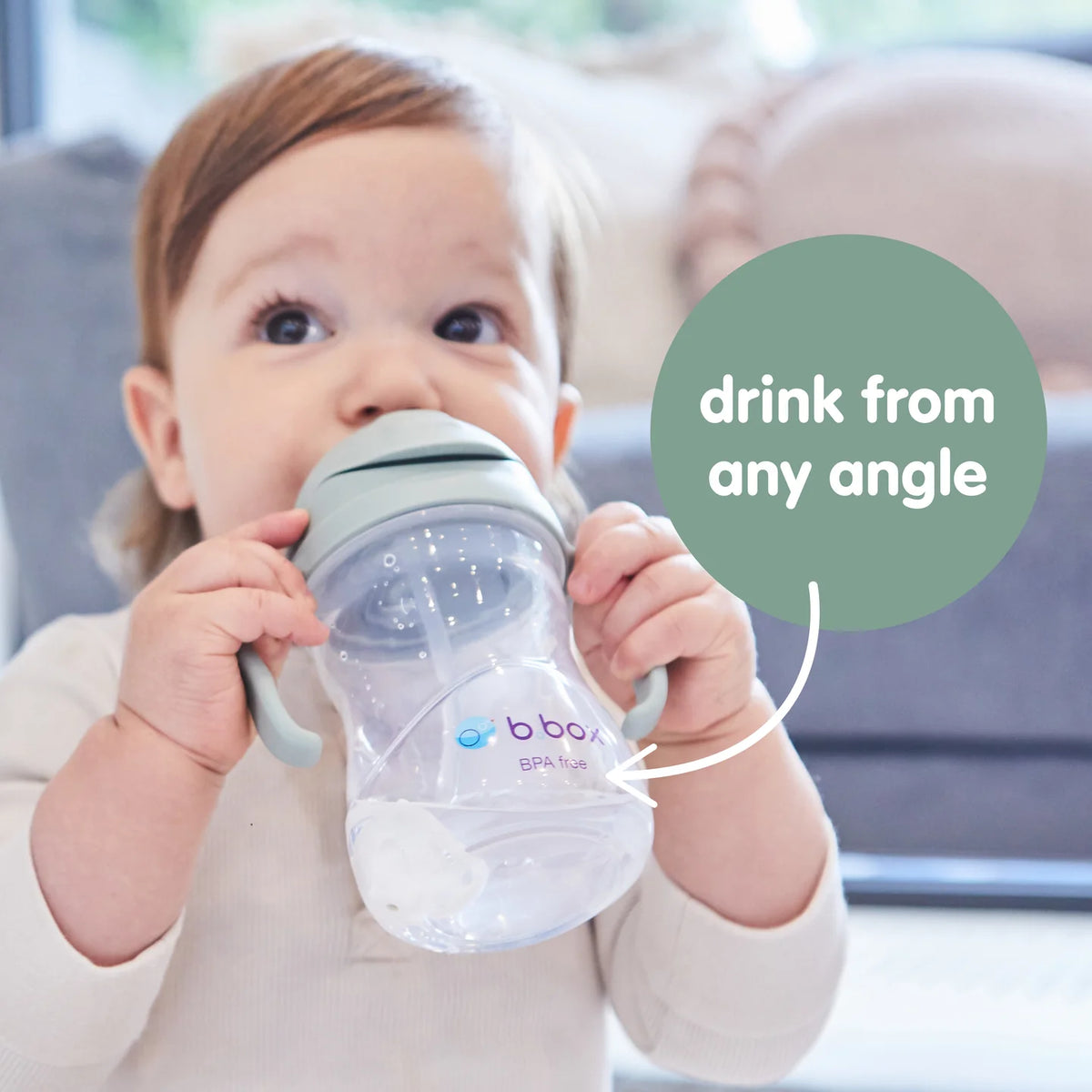 Sippy Cup Sage – additional view 4