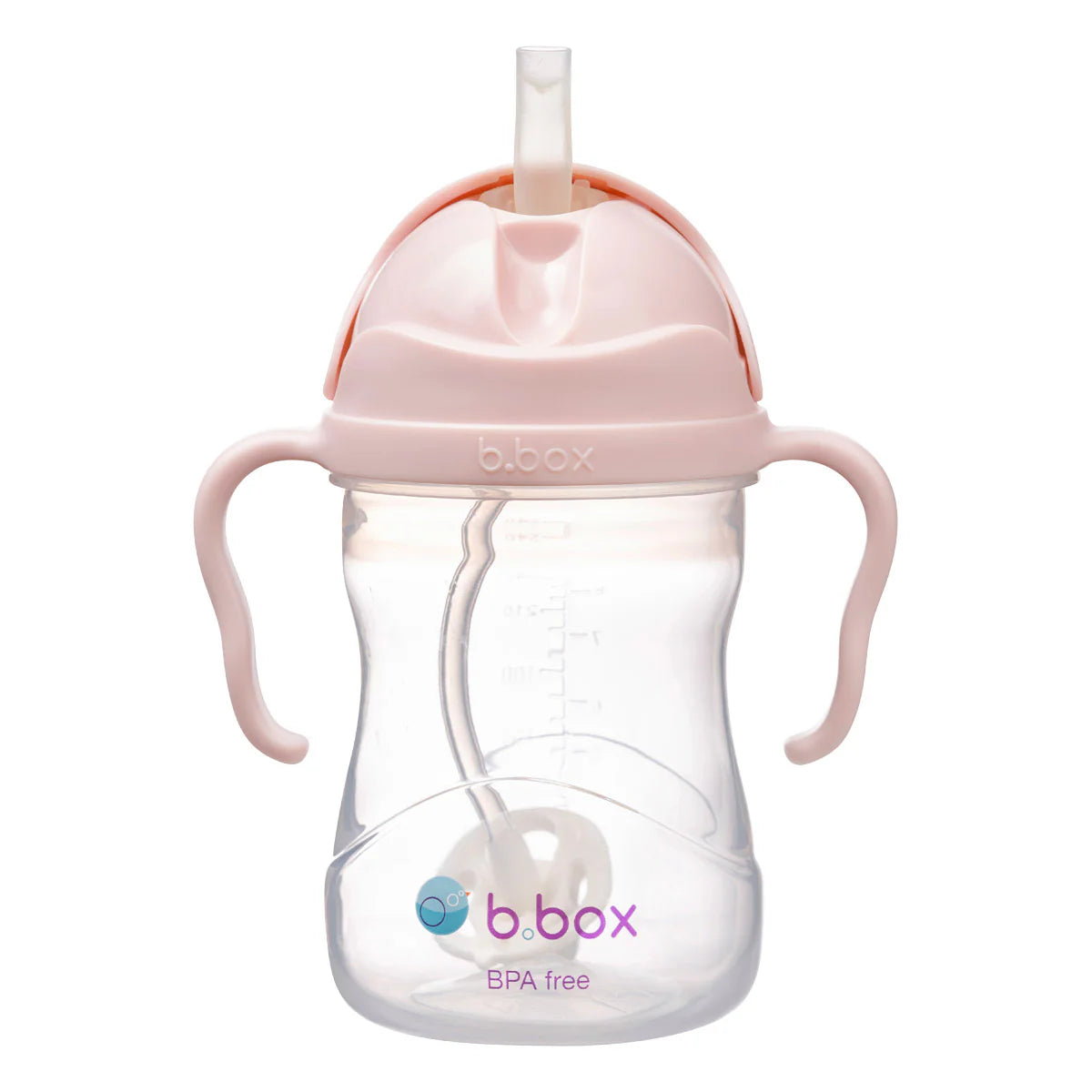 Transition Value Pack Blush – additional view 4