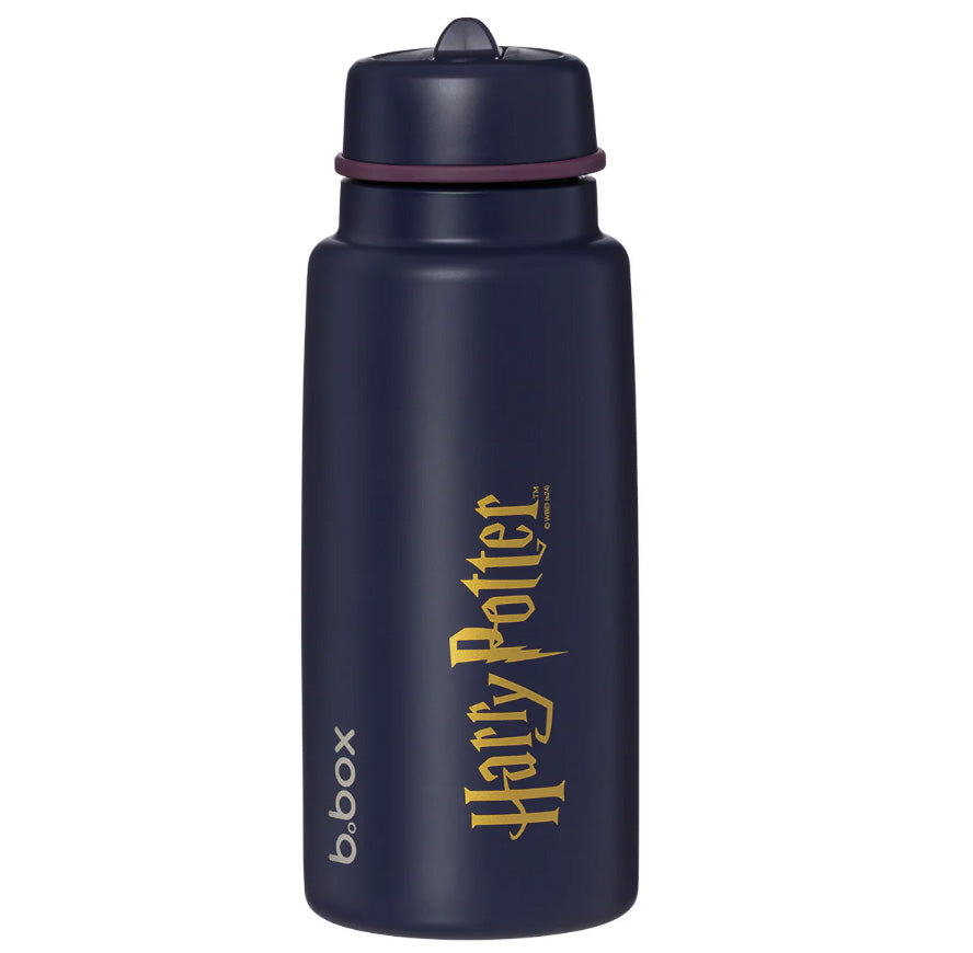 Insulated Flip Top 1ltr Harry Potter – additional view 2