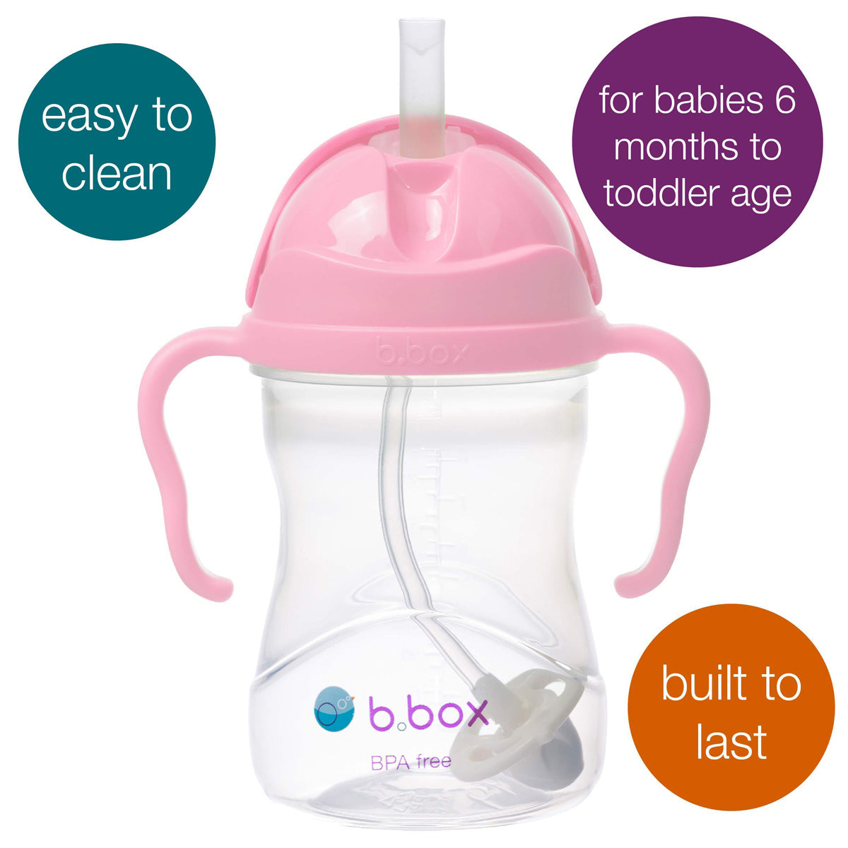 Sippy Cup Cherry Blossom – additional view 4