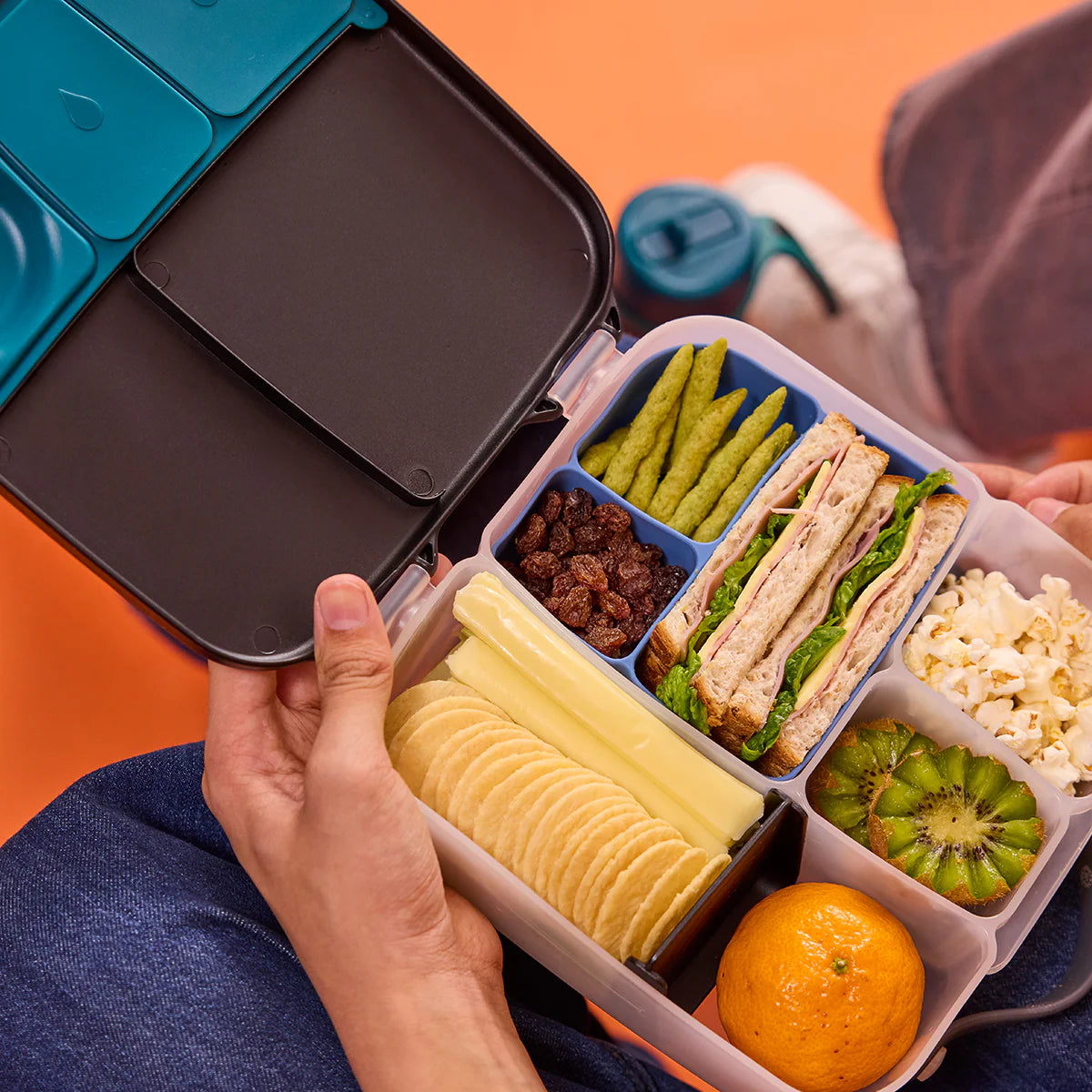 Silicone Bento Buddy Lunch Ocean – additional view 3