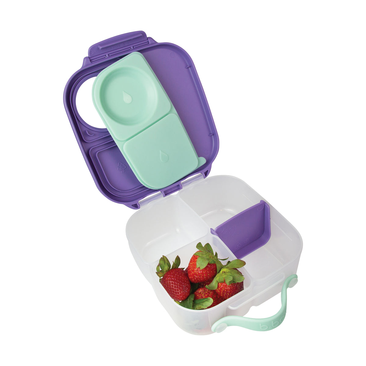 Mini Lunchbox Lilac Pop – additional view 4